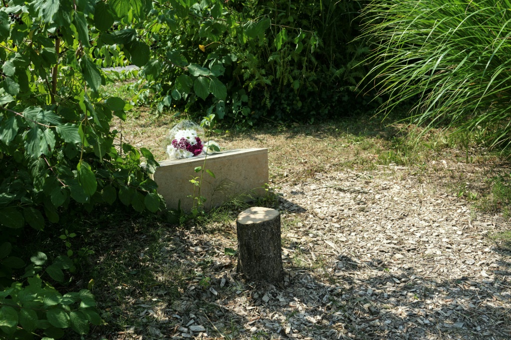 Deux frères incarcérés pour la destruction de l’arbre en hommage à Ilan Halimi à Epinay-sur-Seine